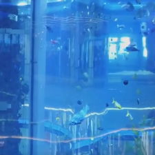 Аквариум с панорамным лифтом в «Океании»