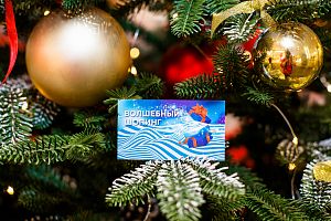 Новогодний шопинг декабрь 2021 г.