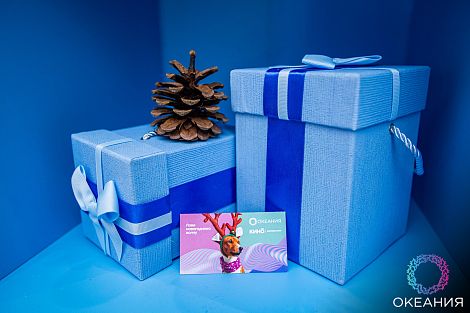 Новогодний шопинг 2020 г.