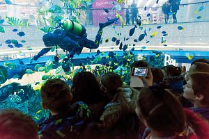 Социальный проект: Океания школам